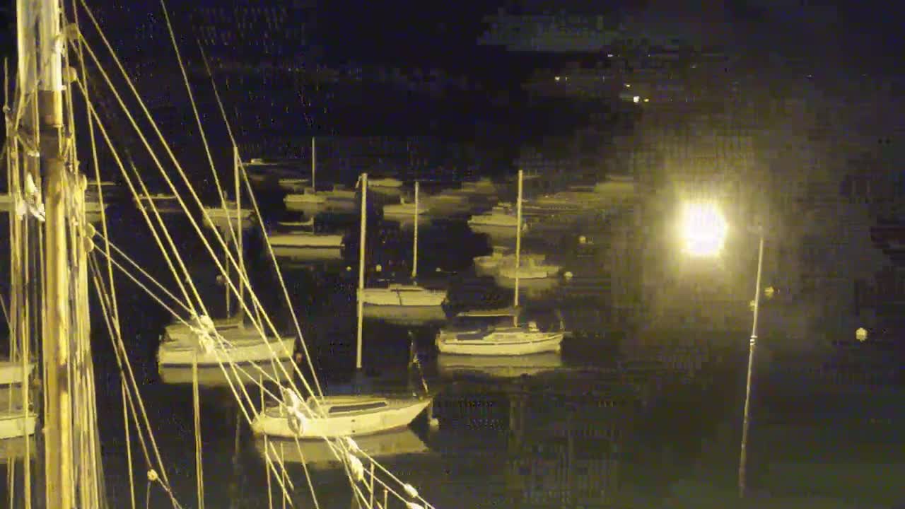 Numerous sailboats are moored in a dark harbor at night, illuminated by a single bright lamp.