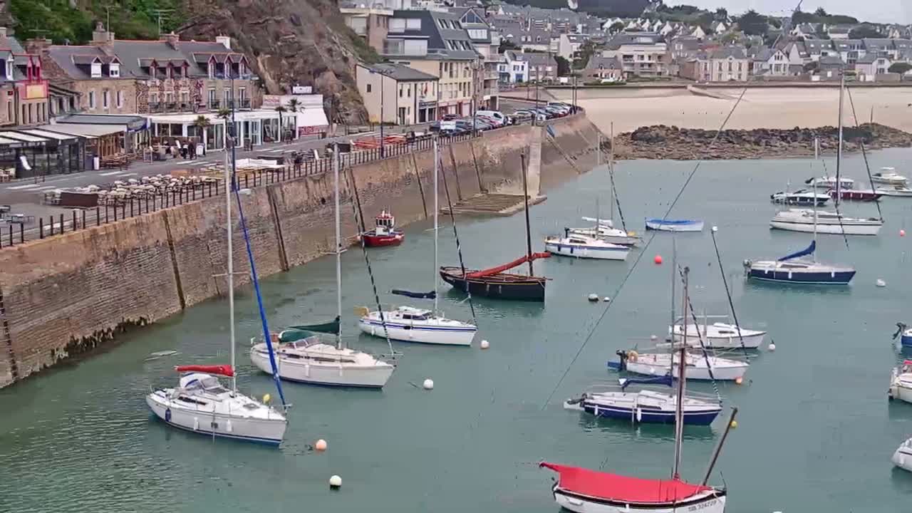 Numerous sailboats are moored in a calm harbor next to a stone wall and waterfront buildings.