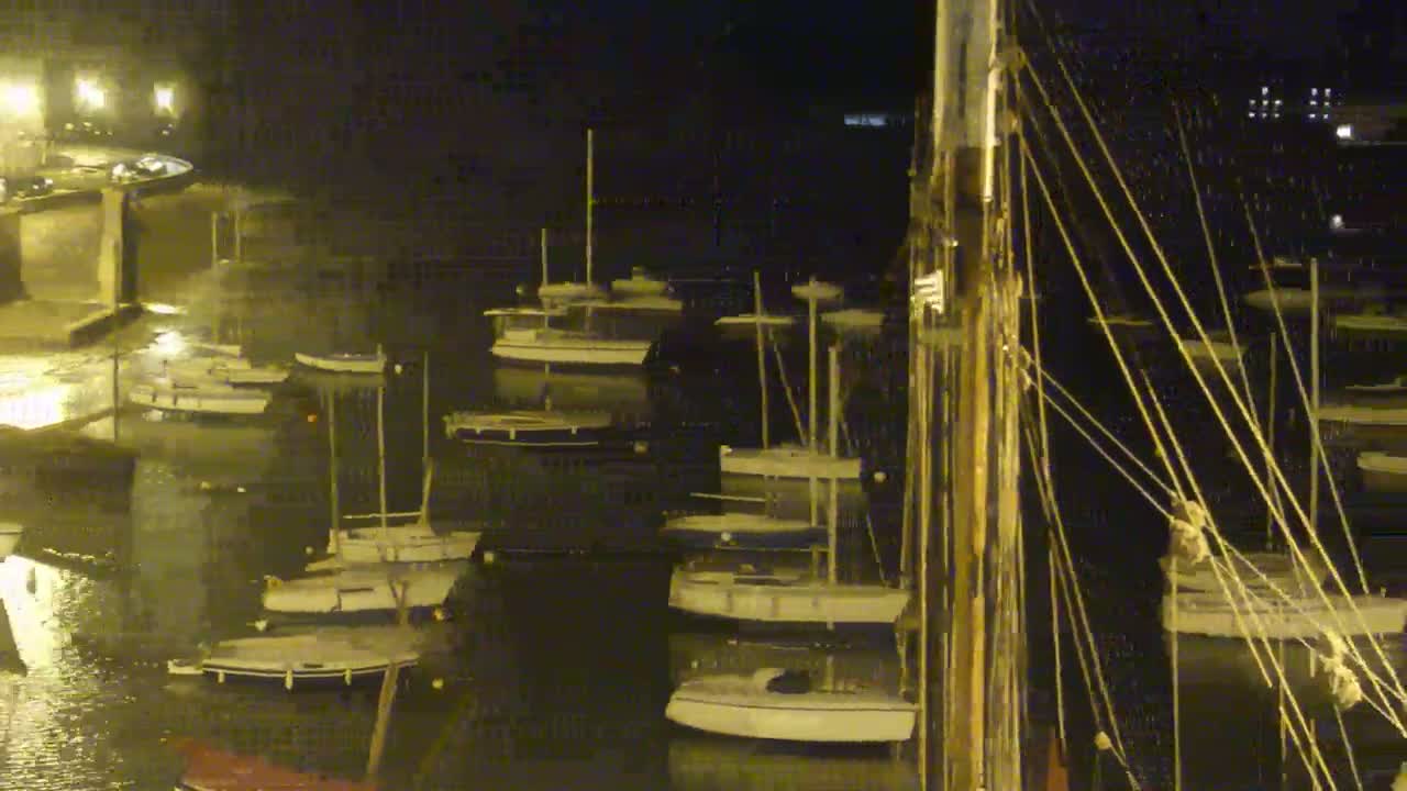Many sailboats are moored in a harbor at night in wet conditions.