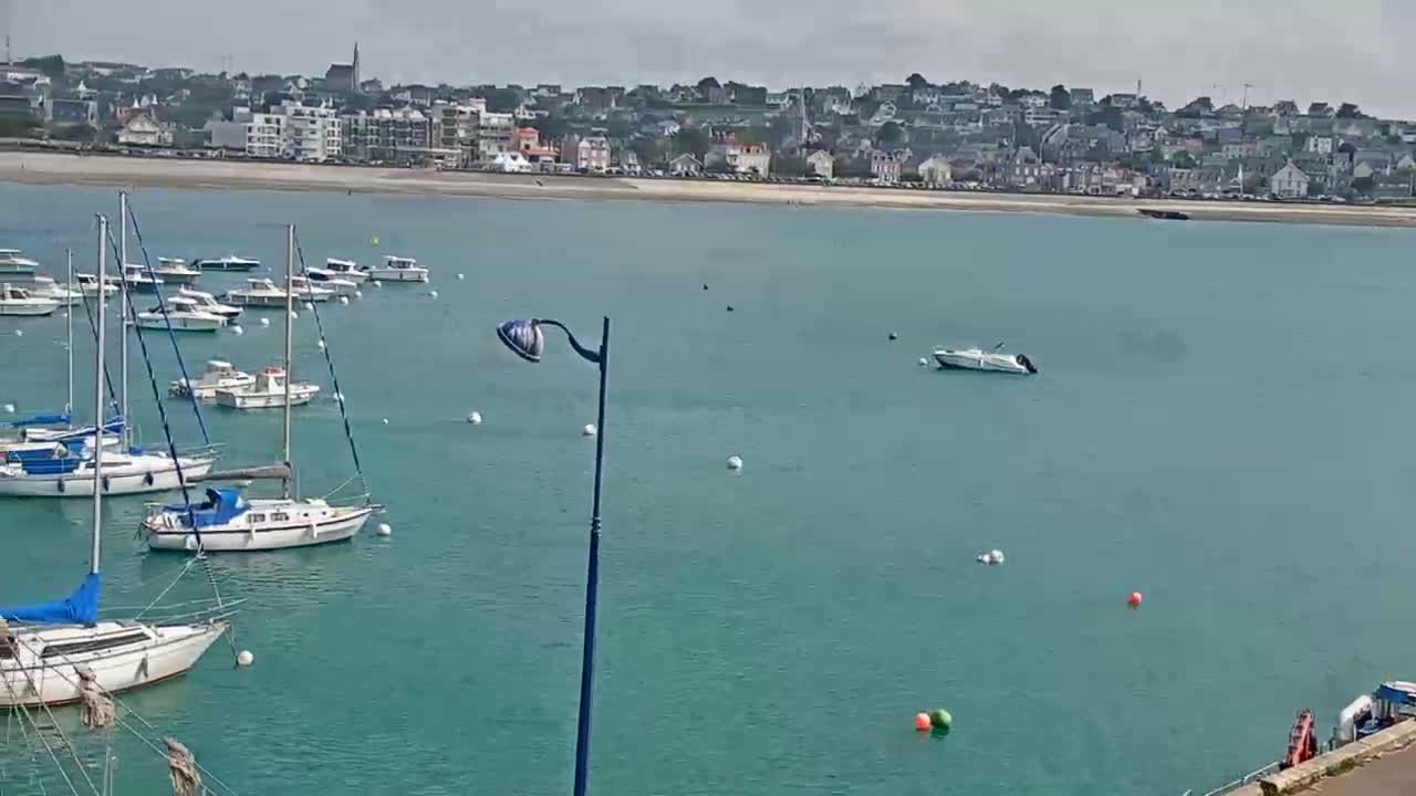 Numerous sailboats and motorboats are moored in a calm, teal harbor with a town visible in the background under a partly cloudy sky.