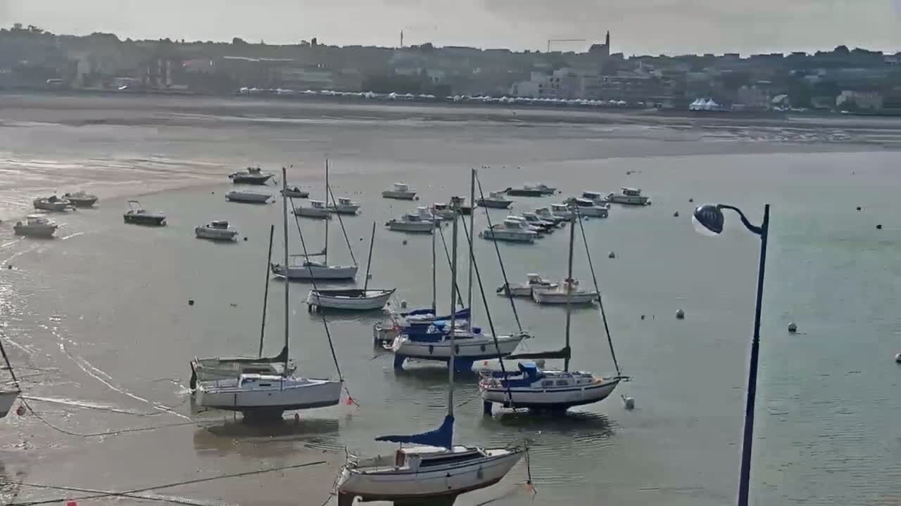 Many sailboats and motorboats are moored in calm water near a shoreline with a town in the background on an overcast day.