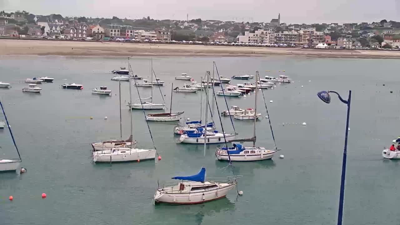 Many sailboats and motorboats are moored in a calm harbor on an overcast day, with a town visible in the background.