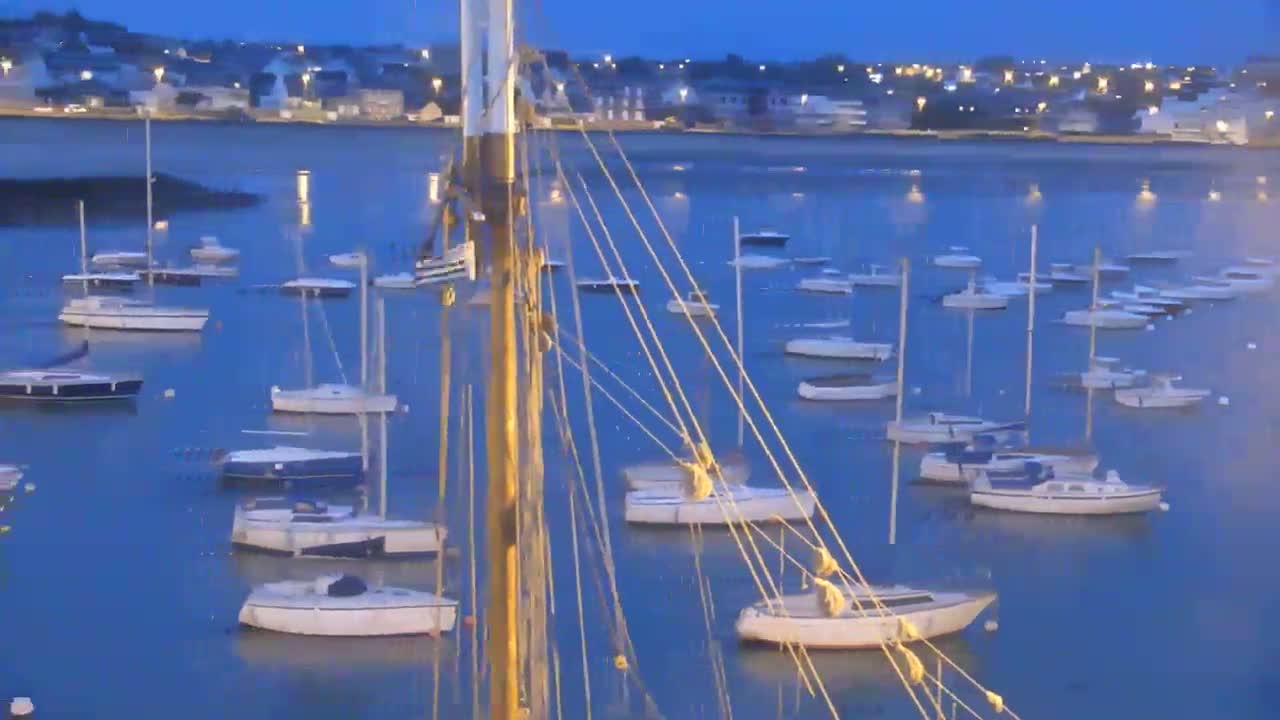 Many sailboats are moored in a calm, twilight harbor, with a town's lights visible in the distance.