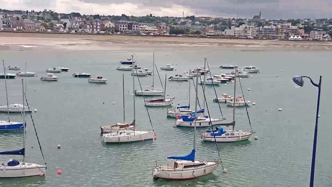 Many sailboats and motorboats are moored in calm water near a sandy beach and a town under an overcast sky.
