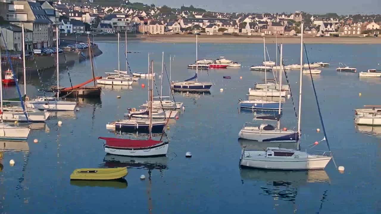 Numerous sailboats are moored in a calm bay near a coastal town on a sunny day.