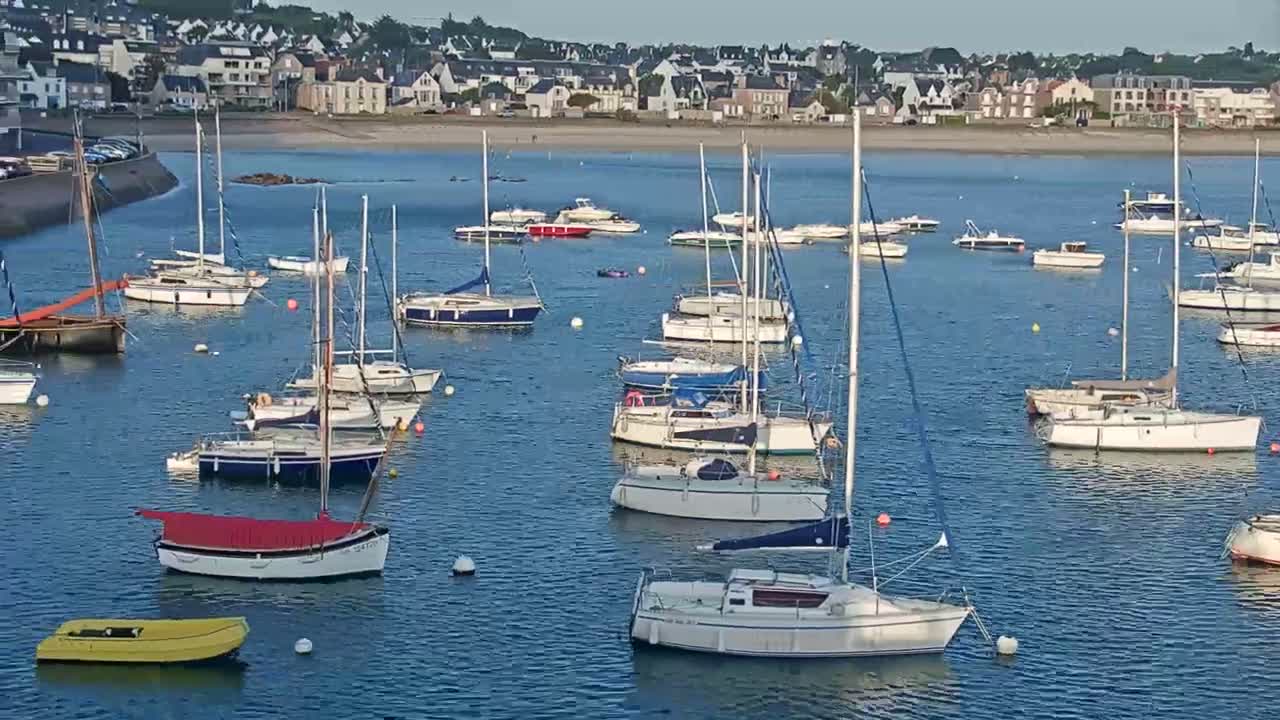 Numerous sailboats and motorboats are moored in a calm harbor, with a town visible in the background on a clear day.