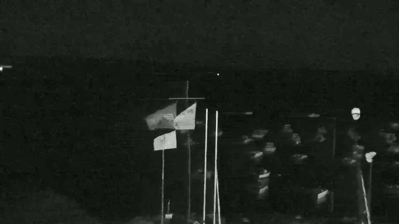 A nighttime, low-light image shows several flags on poles in front of a dark, indistinct mass of objects.