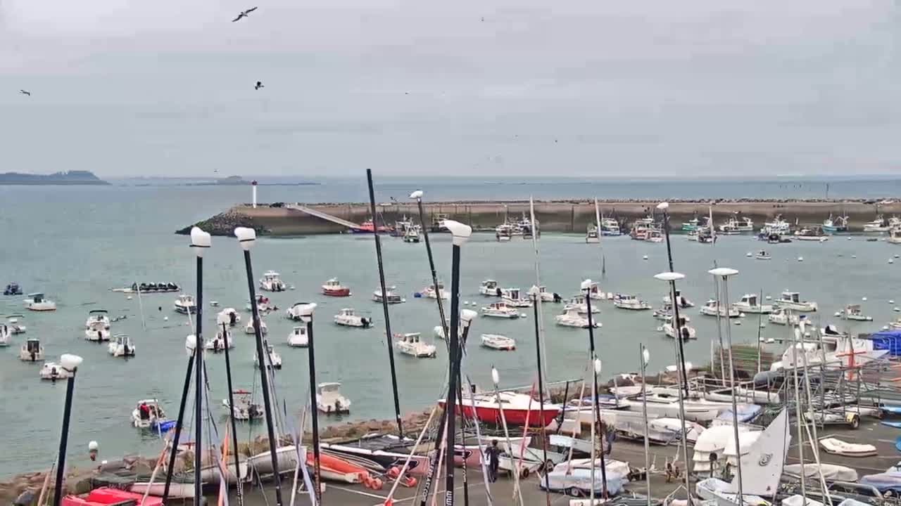 Many sailboats and motorboats are moored in a harbor on an overcast day.
