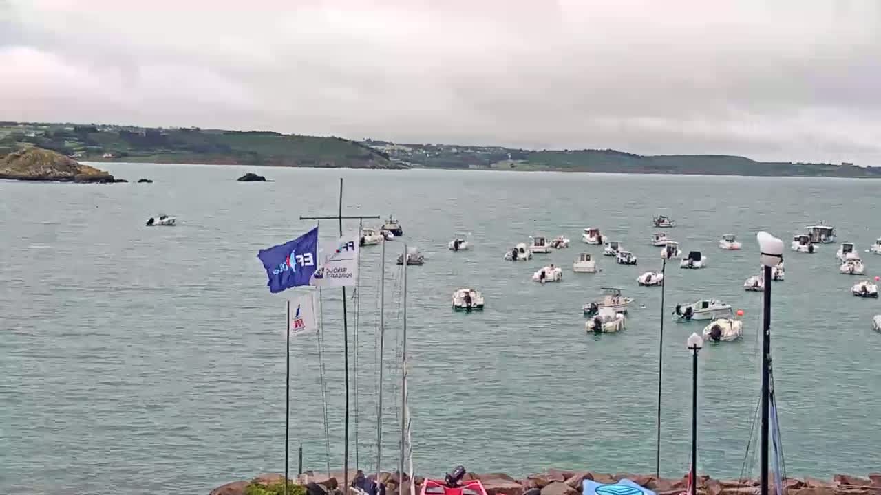 Many small motorboats are moored in a calm body of water under an overcast sky, with land visible in the distance.