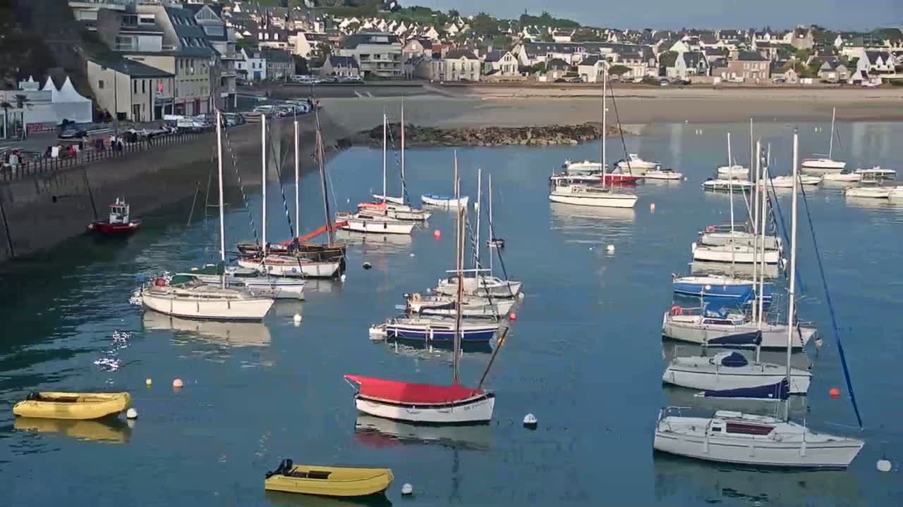 Numerous sailboats are moored in a calm harbor next to a town on a sunny day.