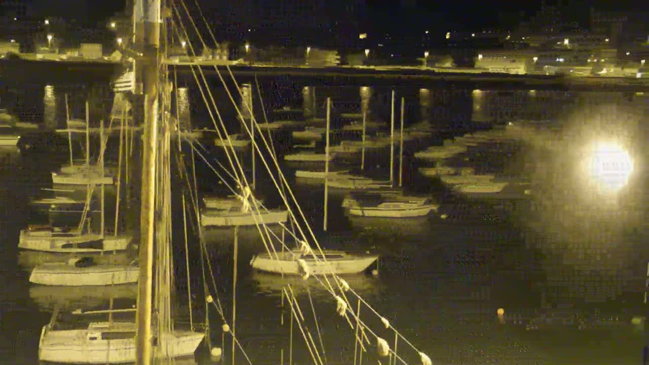 Numerous sailboats are moored in a harbor at night, illuminated by artificial light.