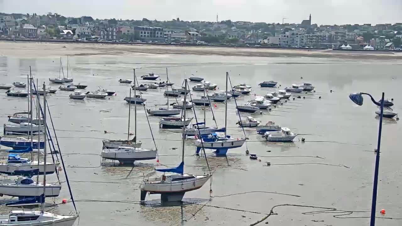 Numerous sailboats and motorboats are moored in shallow, calm water at low tide, with a town visible in the background.