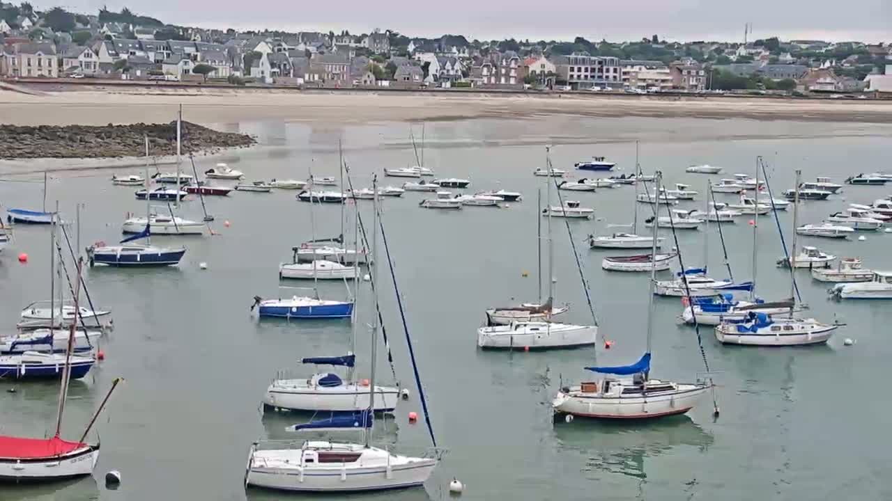 Many sailboats are moored in calm water in front of a town on an overcast day.