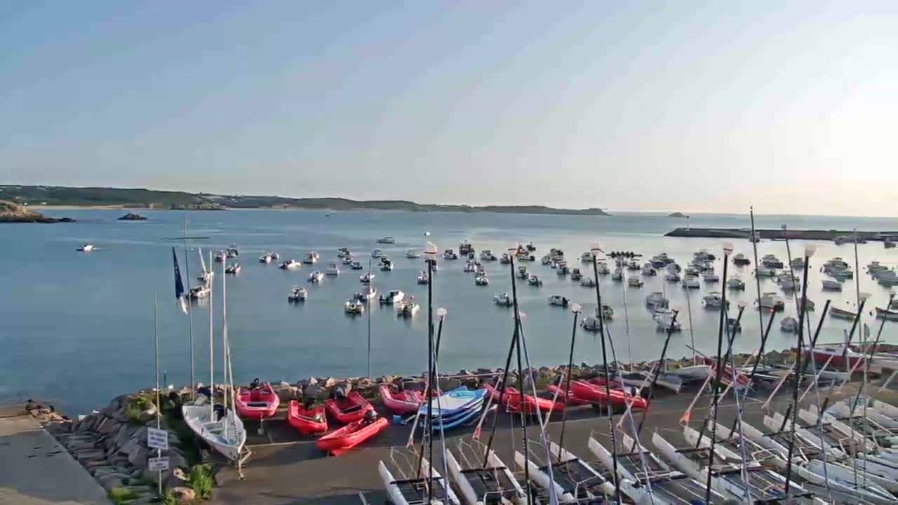 Many sailboats and other watercraft are moored in a calm harbor on a sunny day, with additional boats and catamarans docked on land.