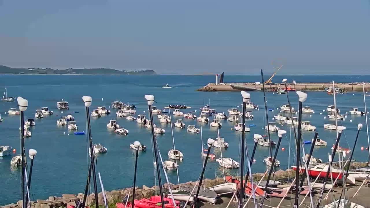 Numerous boats are moored in a calm harbor on a sunny day, with land and a distant coastline visible in the background.