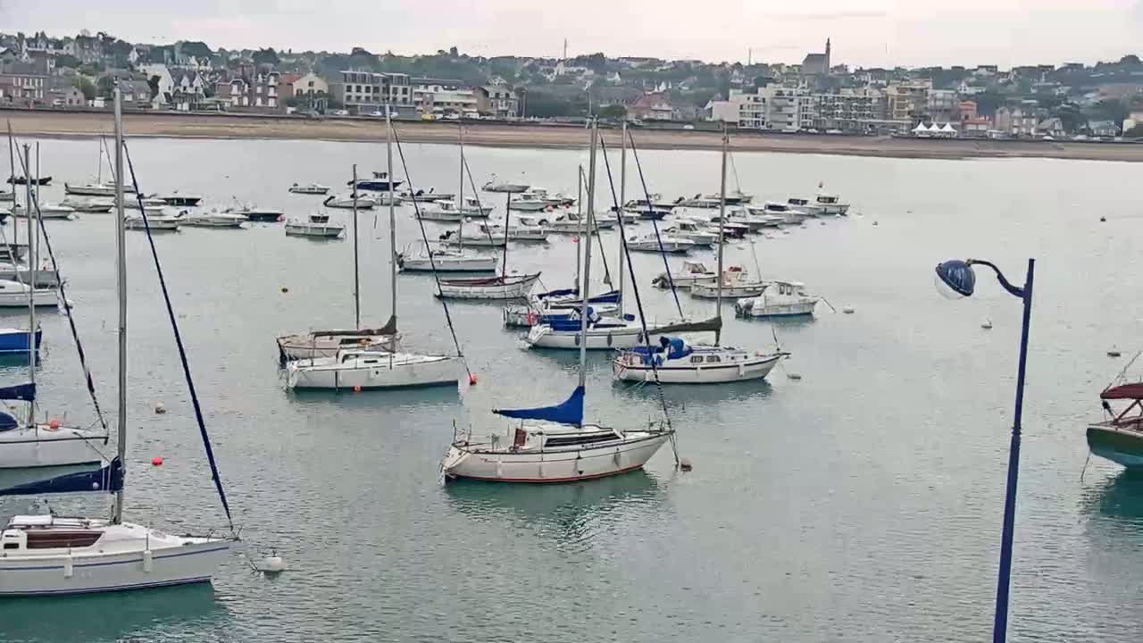 Many sailboats are moored in calm water in front of a coastal town on an overcast day.