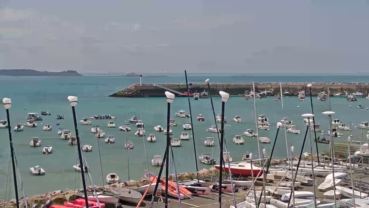 A harbor filled with numerous sailboats and motorboats on a sunny day, with calm teal water and land visible in the distance.