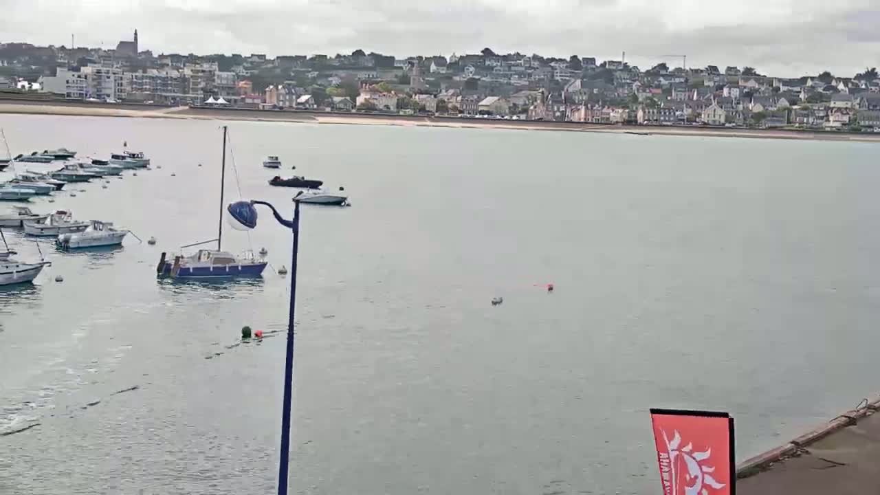 Numerous boats are moored in a calm harbor, with a town visible across the water under an overcast sky.