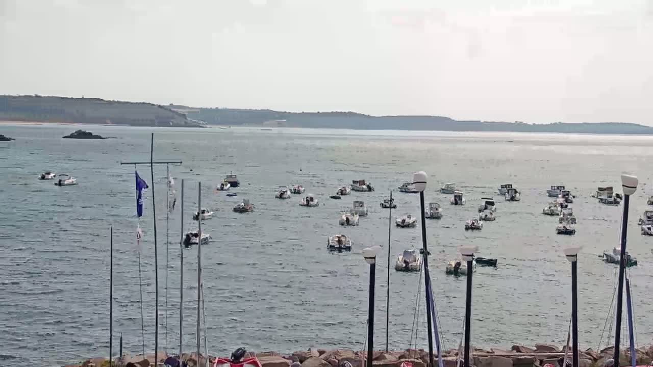 Many small boats are moored in calm water near a rocky shore, with land visible in the distance under a cloudy sky.