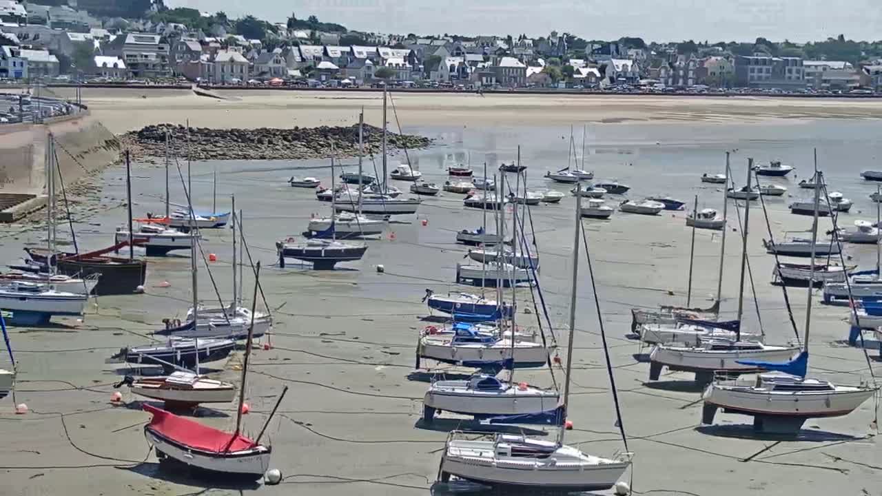 Numerous sailboats are resting on the exposed seabed at low tide in a harbor next to a sandy beach and a town.