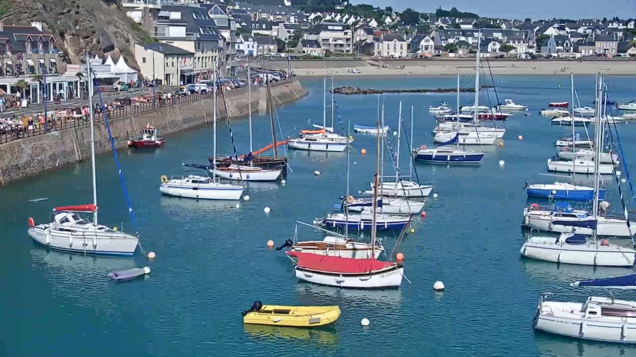 A calm harbor filled with numerous sailboats and motorboats on a sunny day, nestled beside a town built on a hillside.