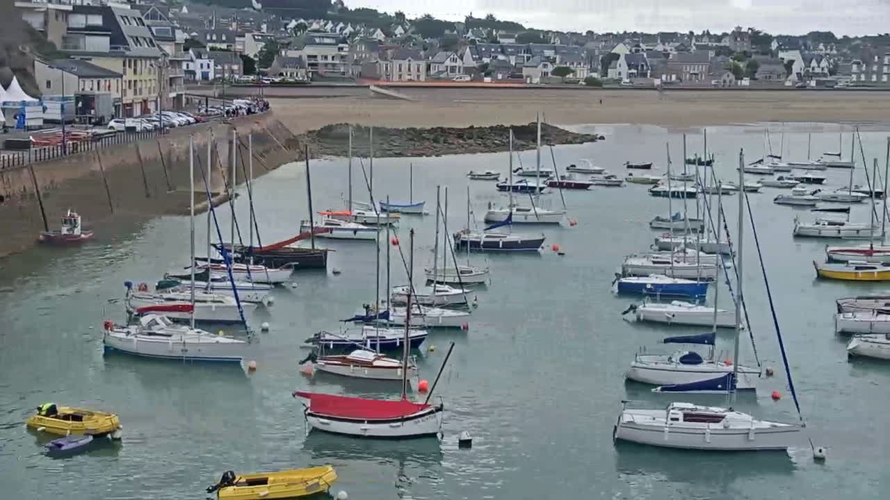 Numerous sailboats are moored in a calm harbor next to a town on an overcast day.