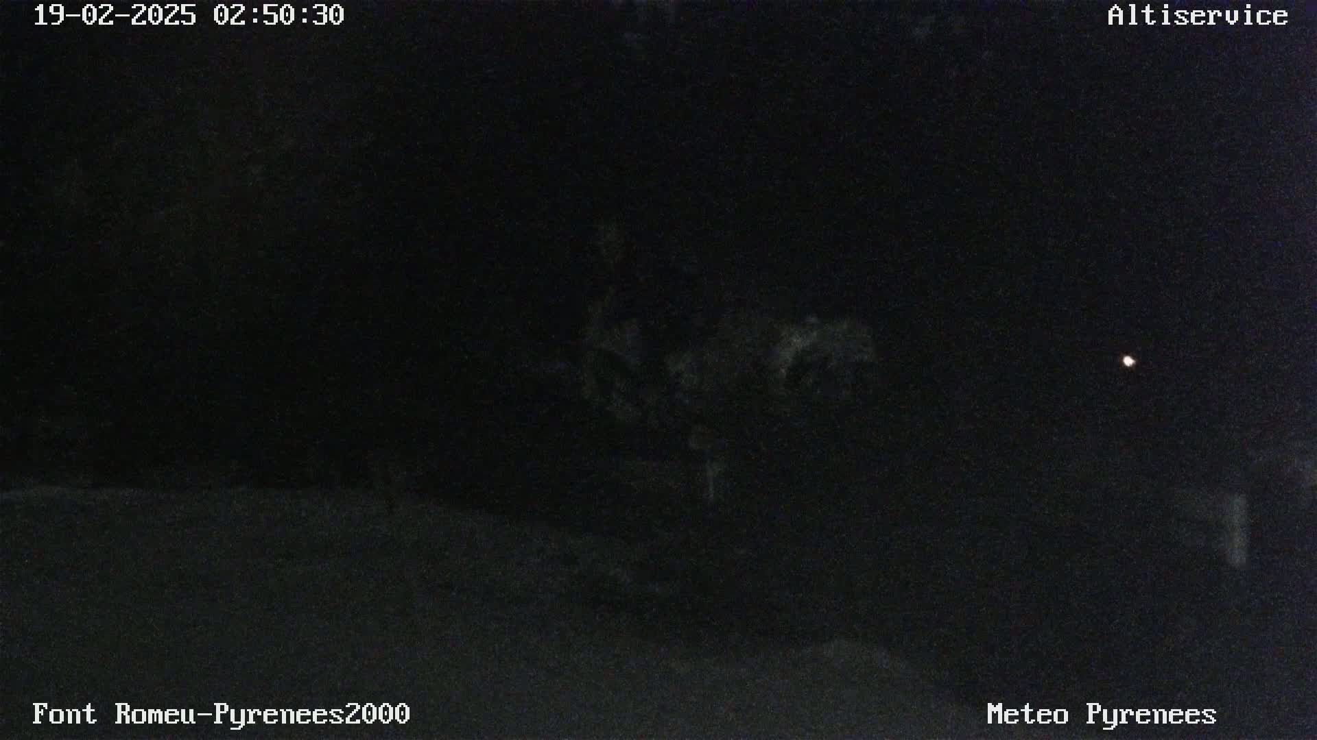 A dark, nighttime scene shows dimly lit vegetation and a small, distant light source under a clear, dark sky.