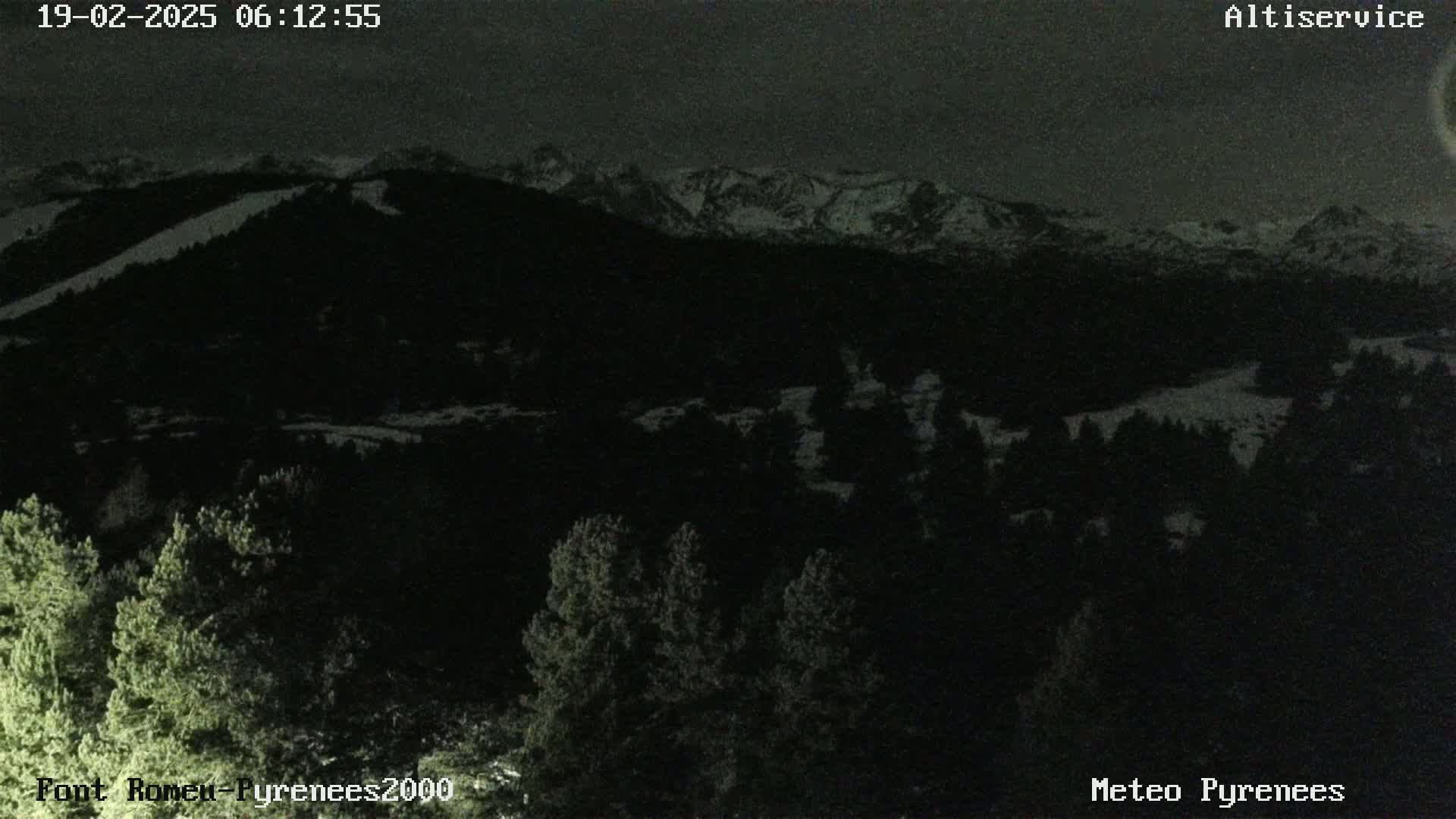 A nighttime view of snow-capped mountains in the distance, behind a dark forest of evergreen trees under a dark sky.