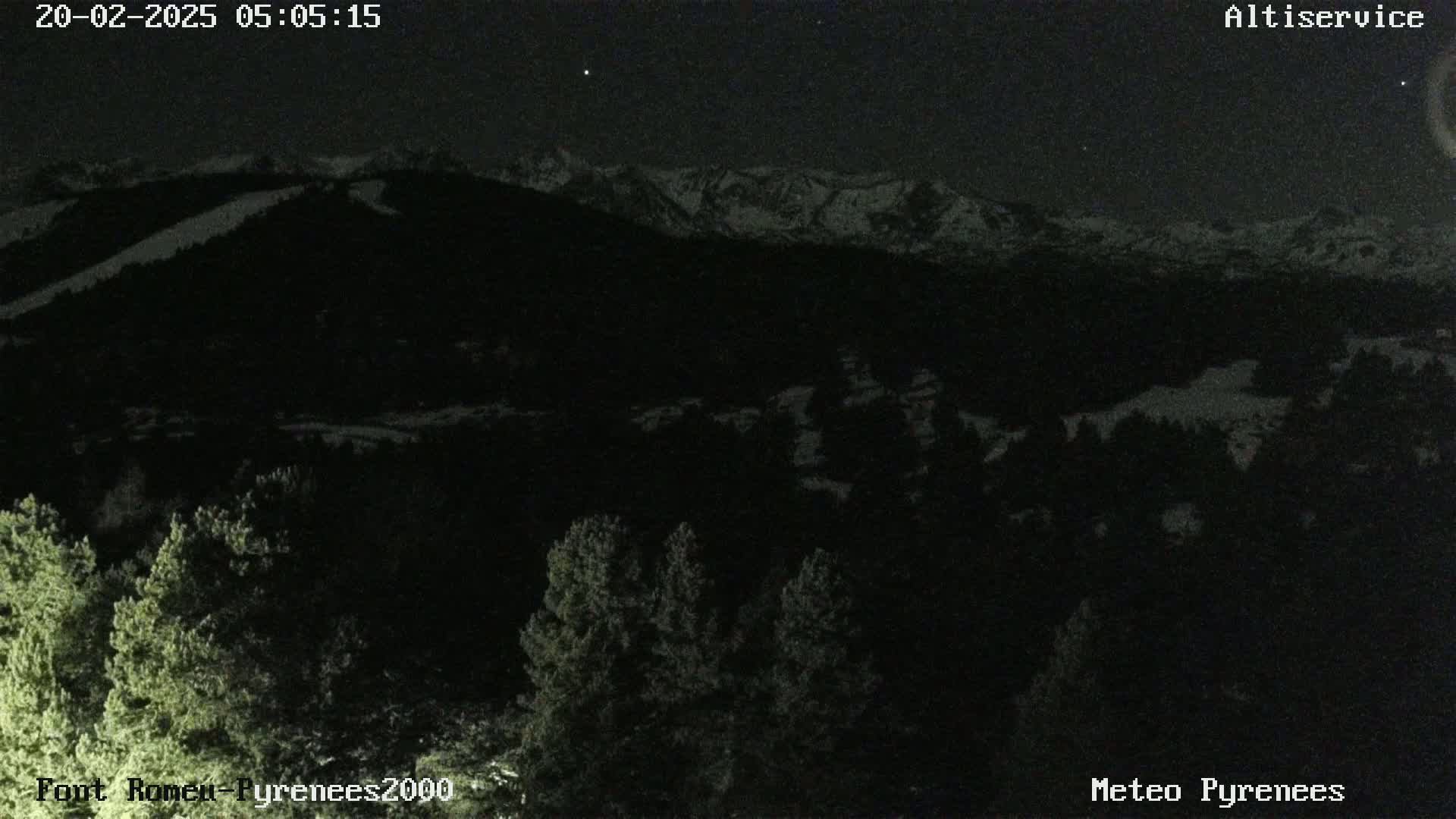 A nighttime view of snow-capped mountains in the distance, with dark evergreen trees in the foreground under a clear, starry sky.