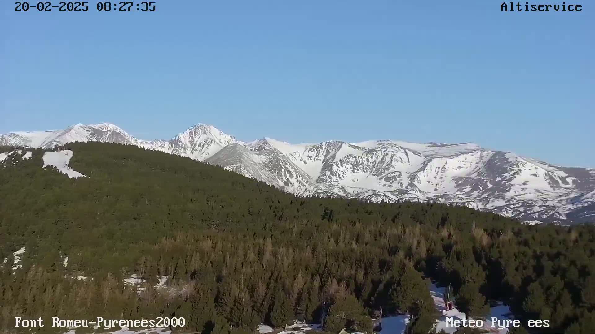 A snow-capped mountain range is visible in the distance, behind a vast evergreen forest under a clear blue sky.