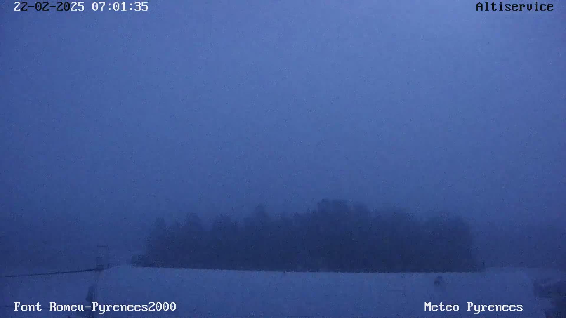 A line of dark trees is barely visible through a thick, blue fog over a snow-covered ground.