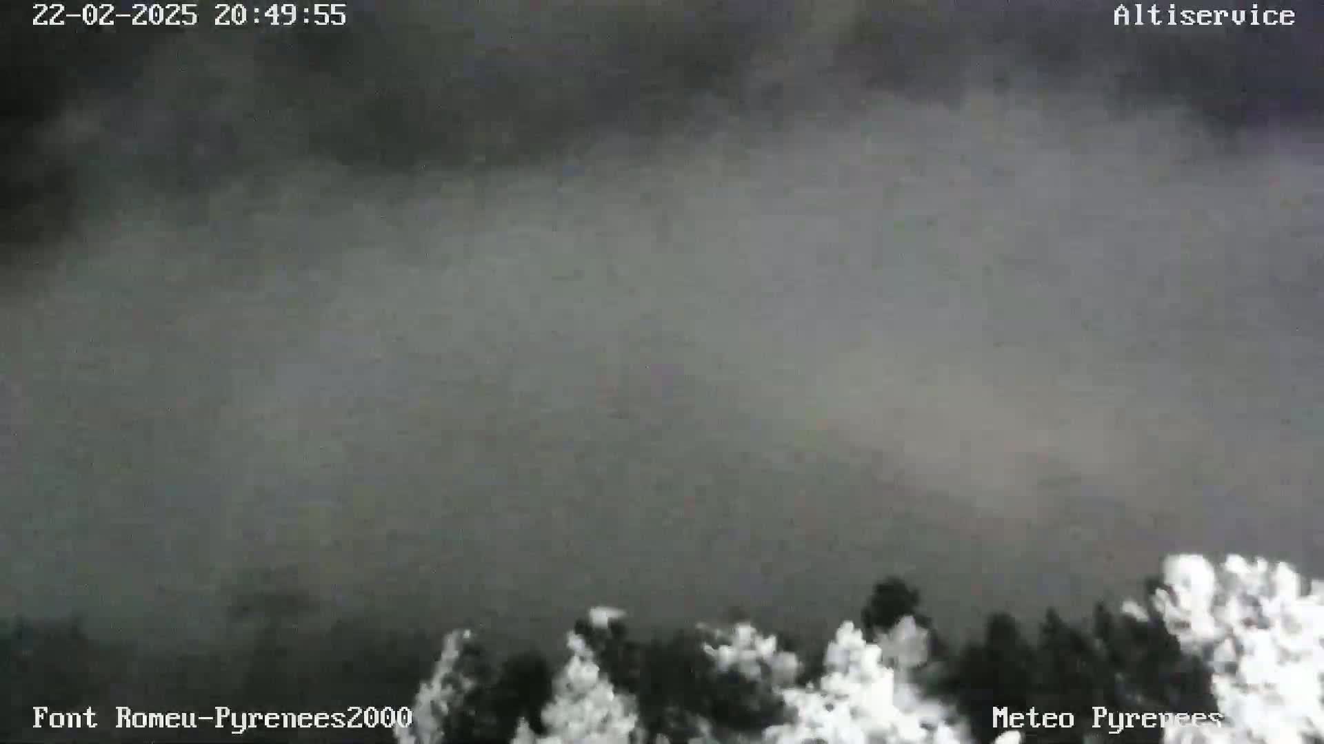 A low-lying, dense fog obscures the view of a dark landscape, with the tops of trees barely visible at the bottom of the frame.