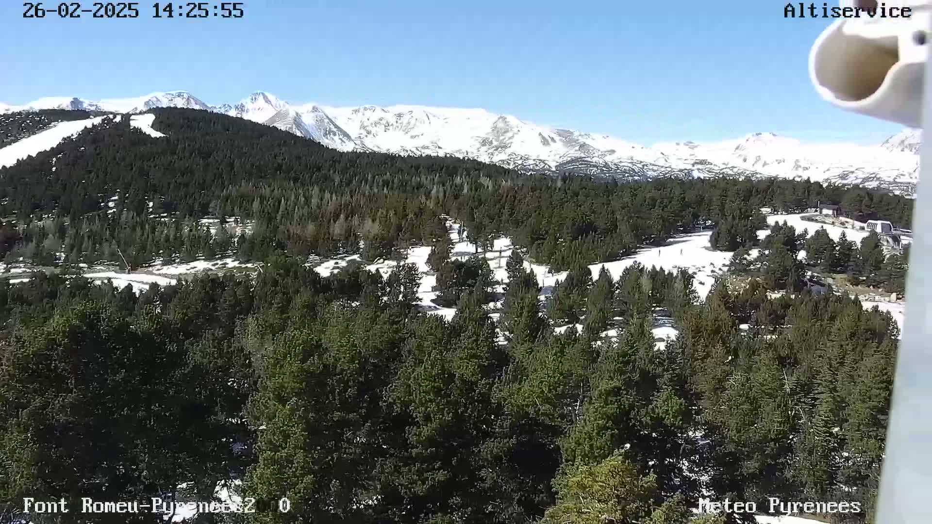 A snow-capped mountain range is visible in the distance, behind a vast evergreen forest with patches of snow on the ground, under a clear, sunny sky.