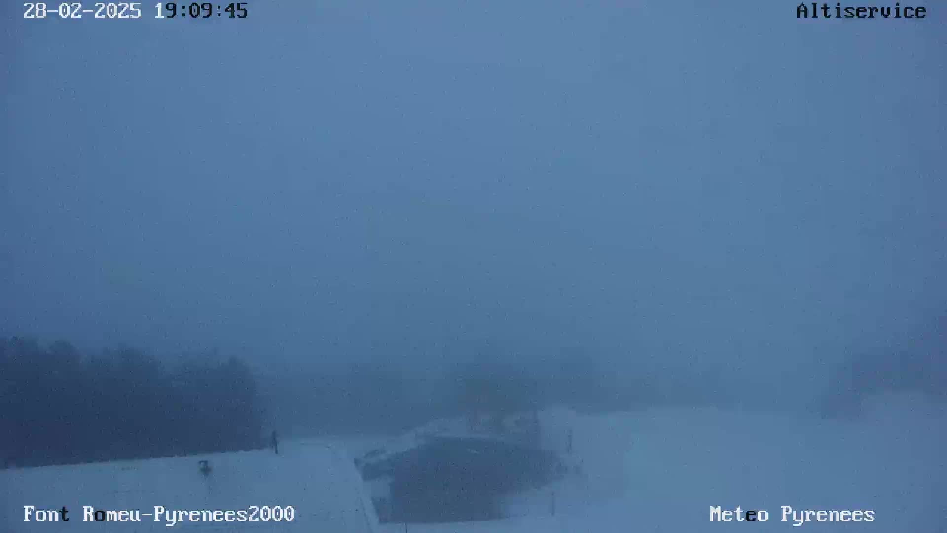 A snowy, foggy landscape is visible, with a dark line of trees in the distance.