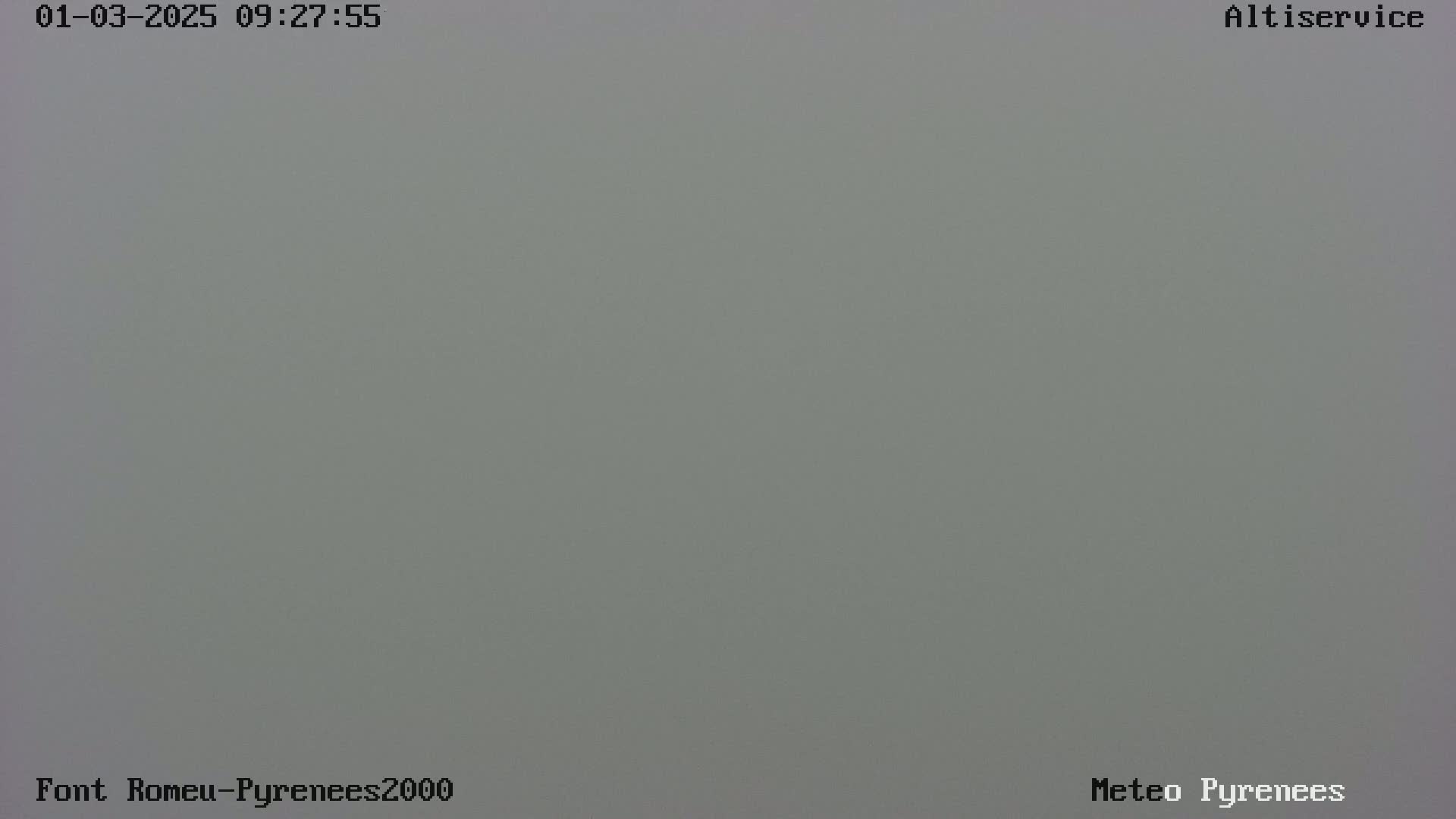 A uniformly gray, foggy scene is visible.