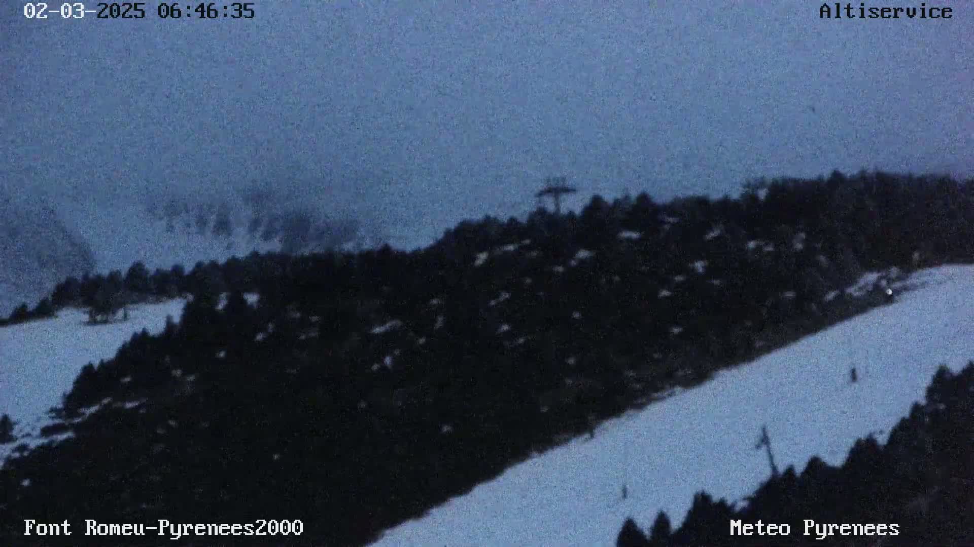 A snow-covered hillside with dark trees under a twilight sky.