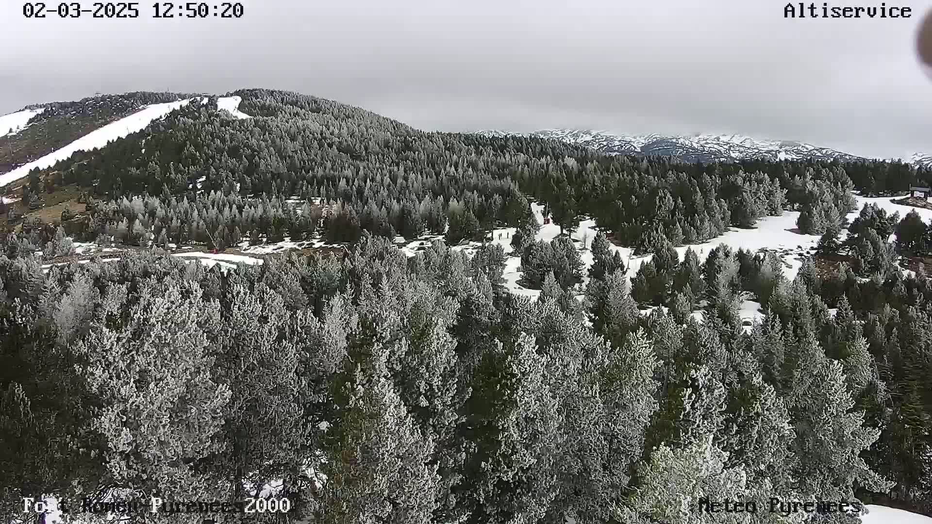 A snow-covered mountainside, densely populated with evergreen trees under an overcast sky.