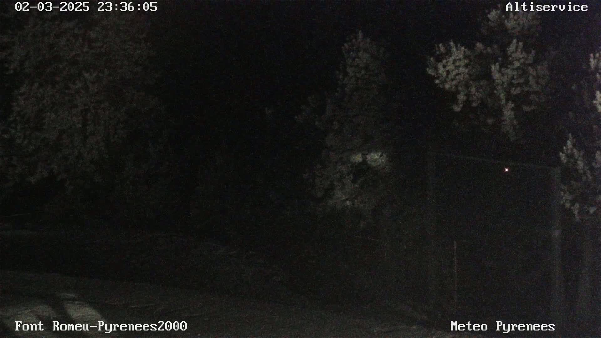 A nighttime, low-light image shows dark trees and a roadway under a clear, dark sky.