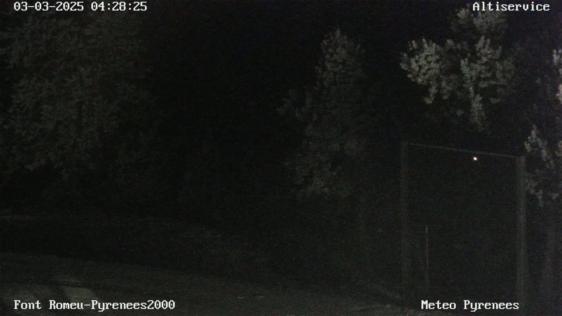 A nighttime, low-light outdoor scene shows dark trees and a faint, distant light.