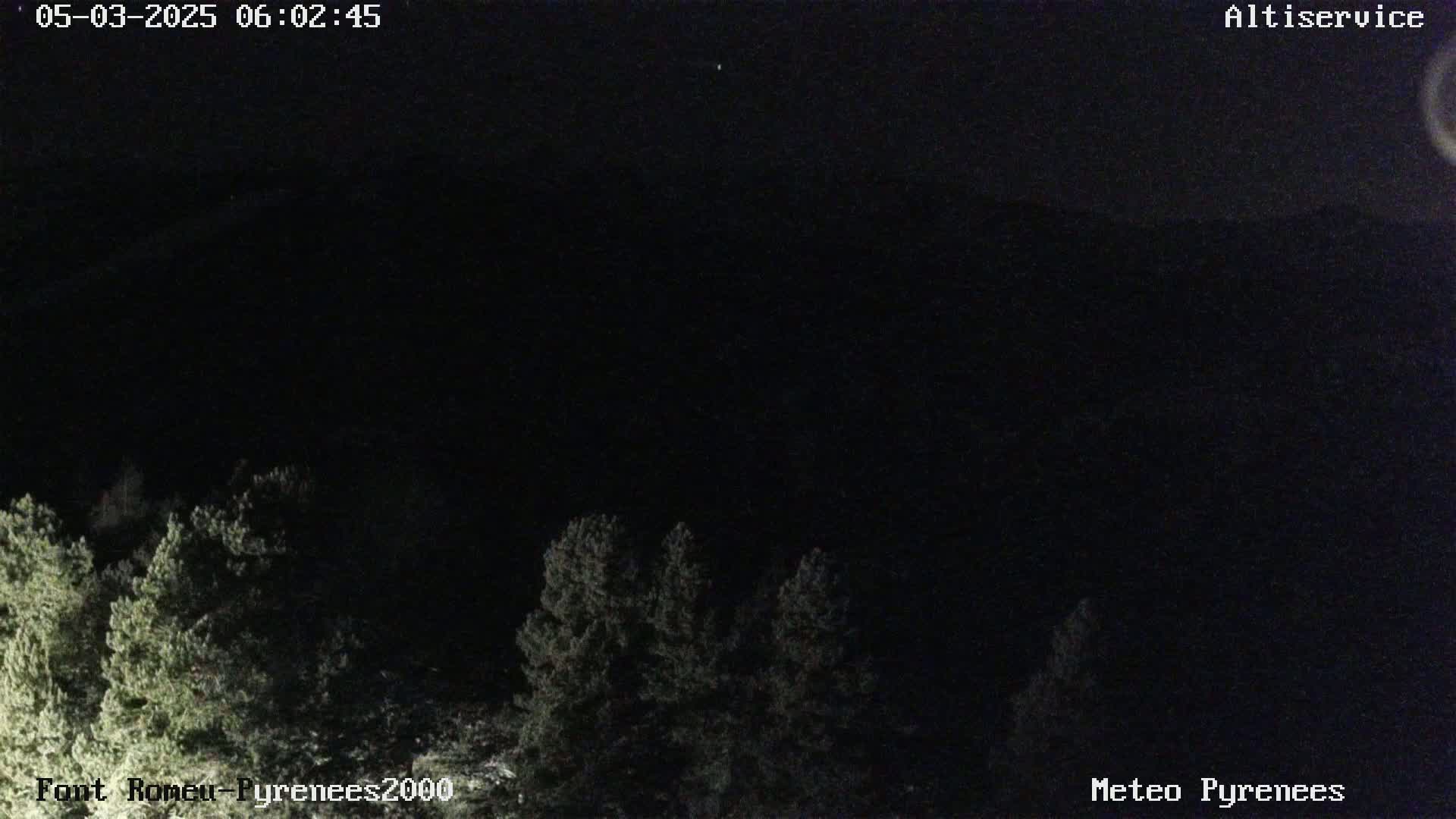 A nighttime view of dark trees silhouetted against a mostly clear, dark sky.