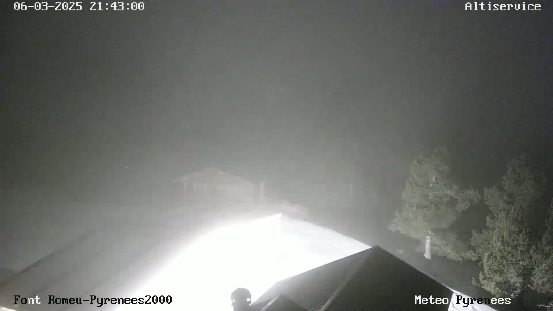 A nighttime, foggy scene shows a bright light illuminating a snow-covered area near some trees and buildings.