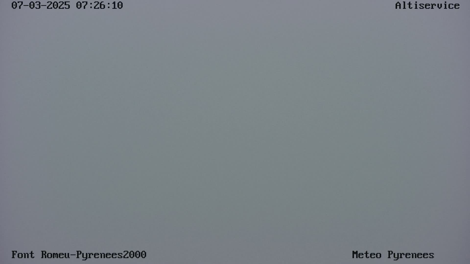 A solid, light grey expanse fills the entire image, suggesting overcast or foggy outdoor weather conditions.