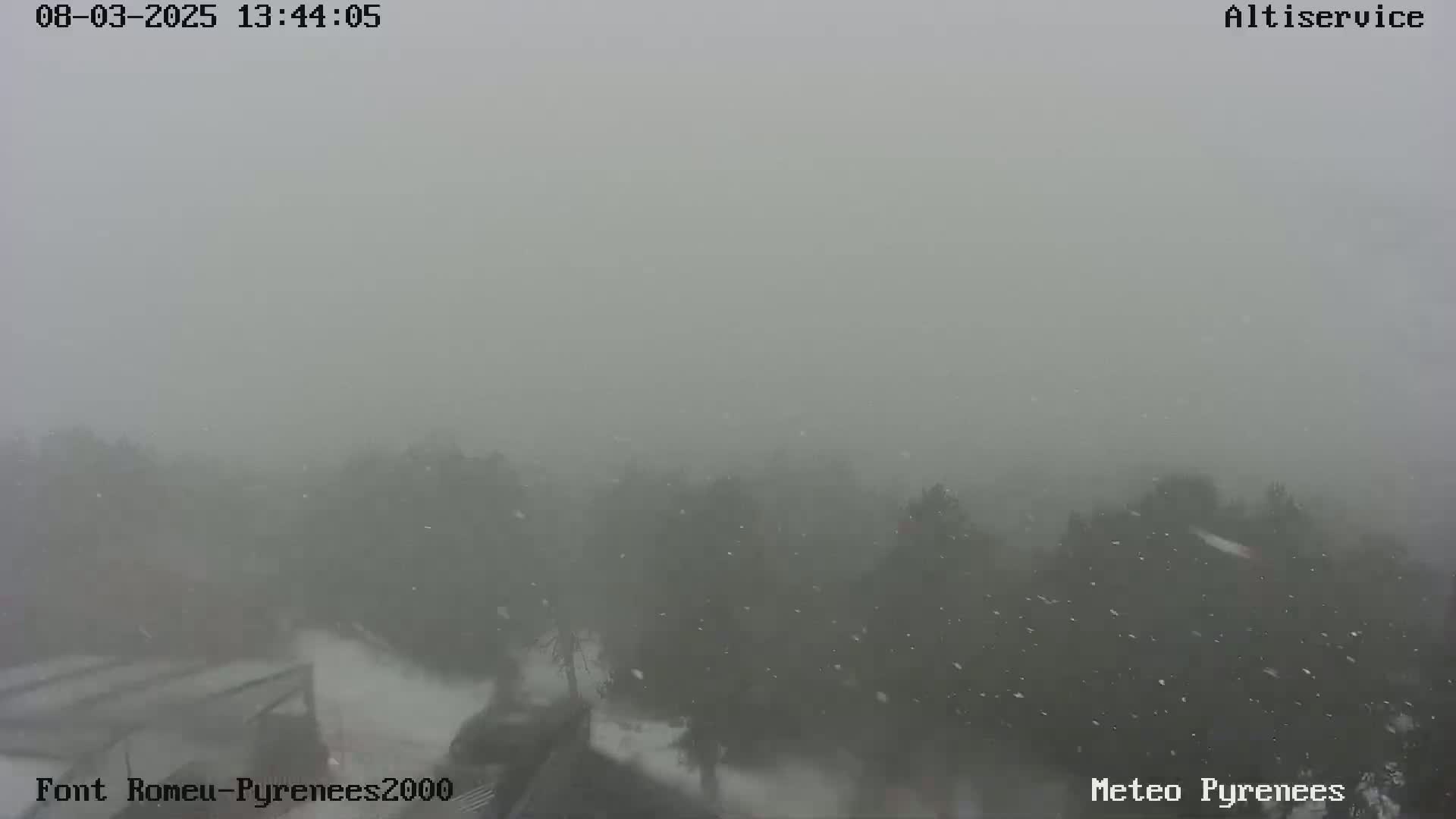 A hazy, snowy scene shows a muted view of dark trees and a light-colored ground.