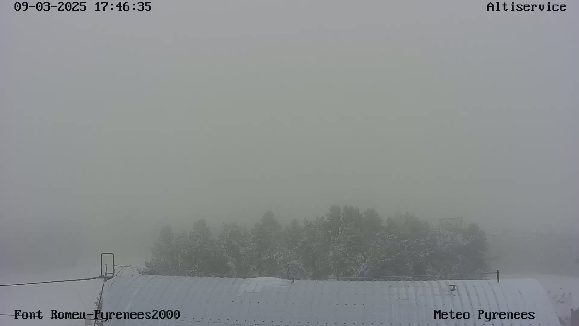 A snow-covered building is partially visible through a thick fog, with a line of snow-covered trees in the background.