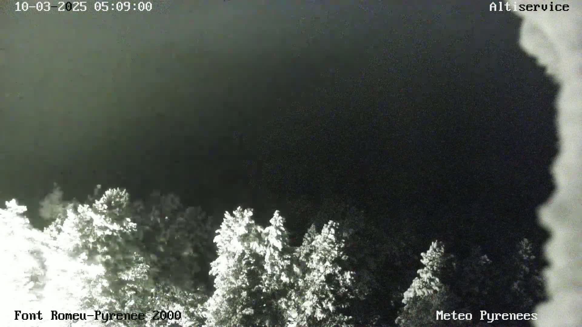 Snow-covered trees are visible under a dark, nighttime sky.
