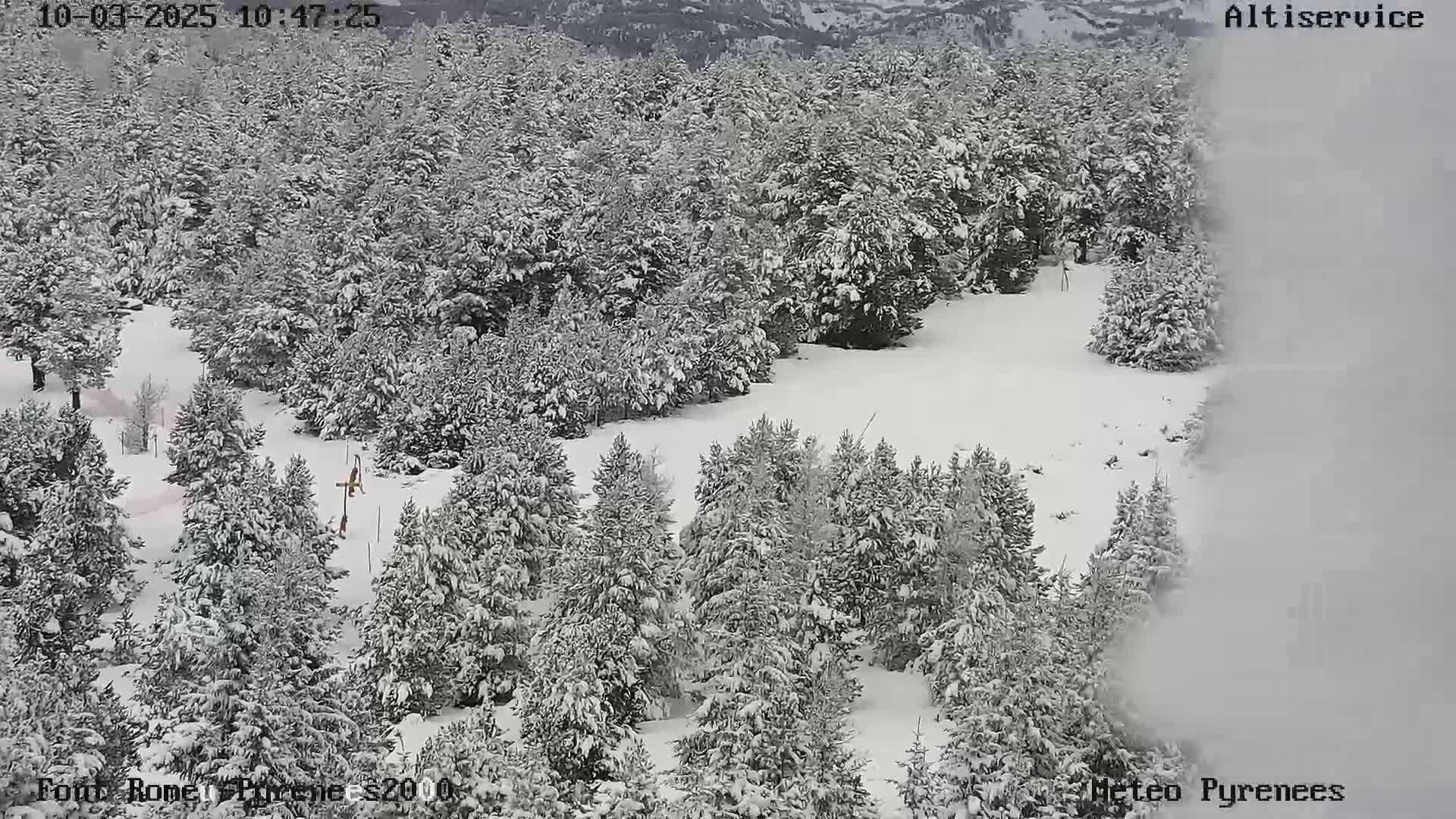 A snow-covered forest scene with a snow-making machine producing a plume of snow on a partly cloudy day.