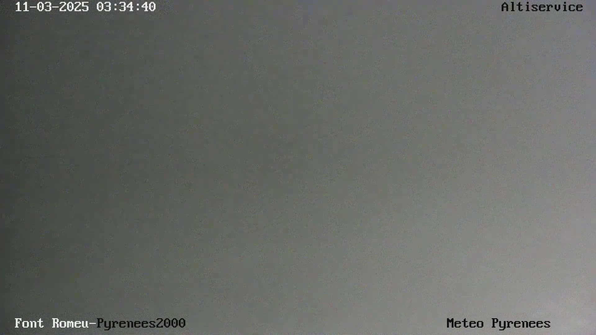 A solid, uniformly gray image is shown.
