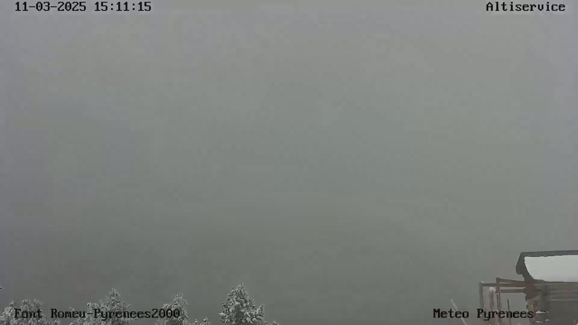 A thick fog obscures the view of a snowy landscape, with only the tops of snow-covered trees and a partially visible building visible in the bottom portion of the frame.
