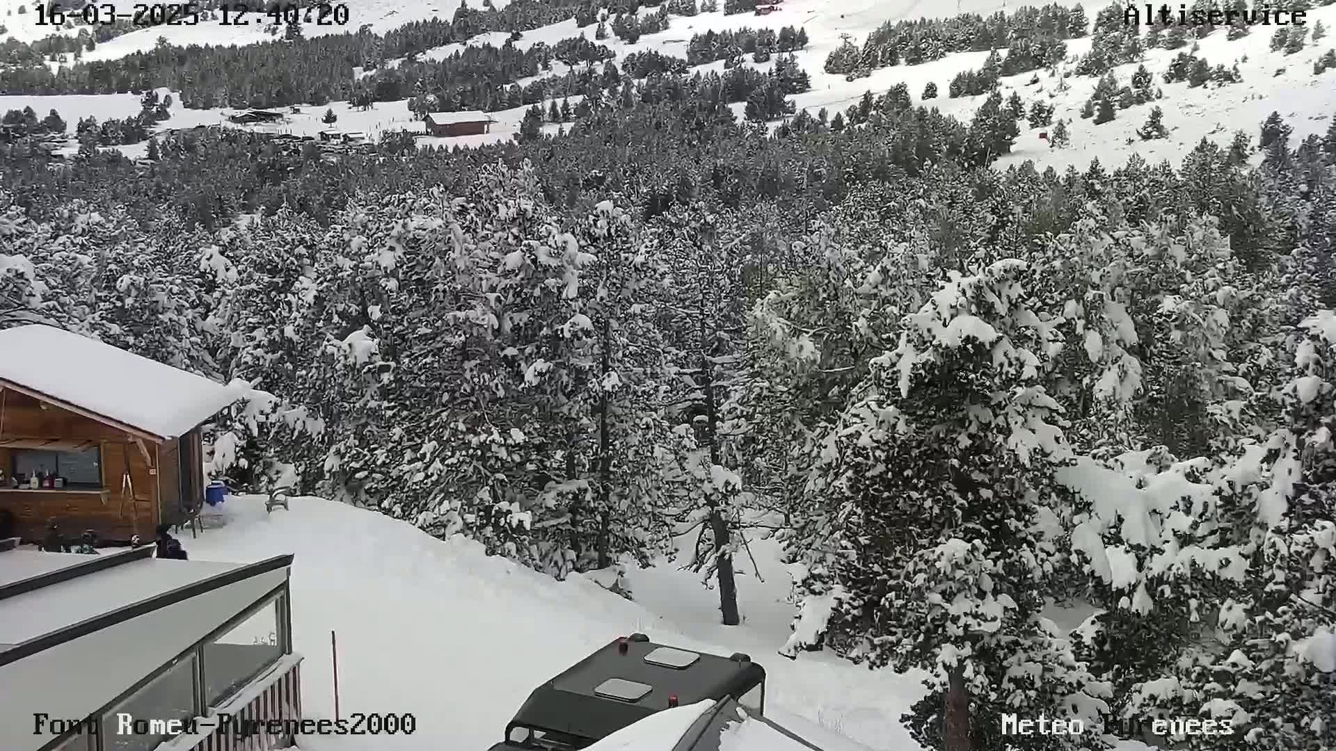 A snow-covered landscape features a dense forest of evergreen trees, a small wooden cabin, and a dark-colored vehicle near a building with a glass roof, all under a snowy sky.