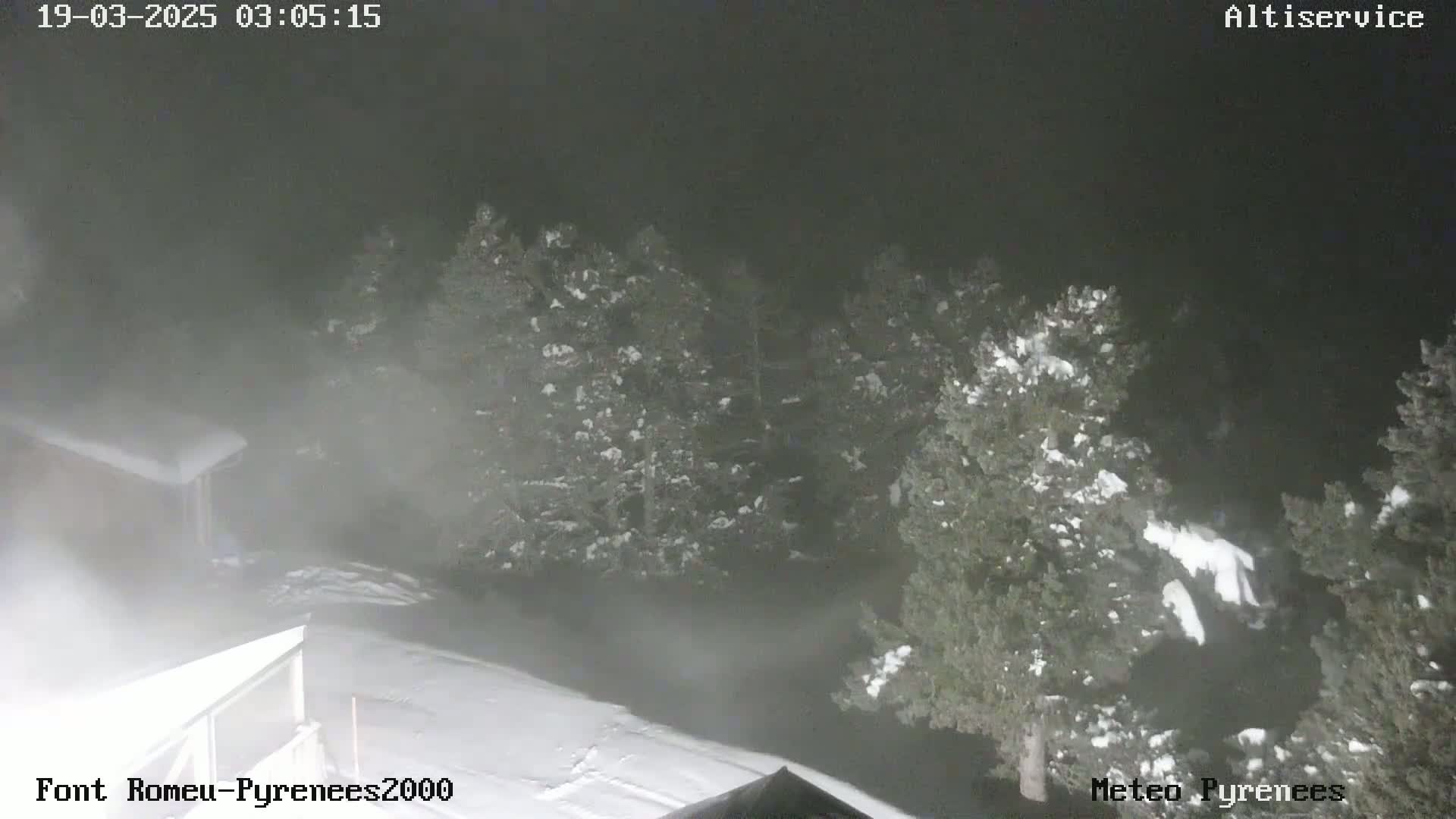 A snowy, foggy night scene shows a snow-covered landscape with evergreen trees.